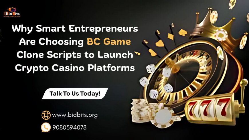 Why Smart Entrepreneurs Are Choosing BC Game Clone Scripts to Launch Crypto Casino Platforms