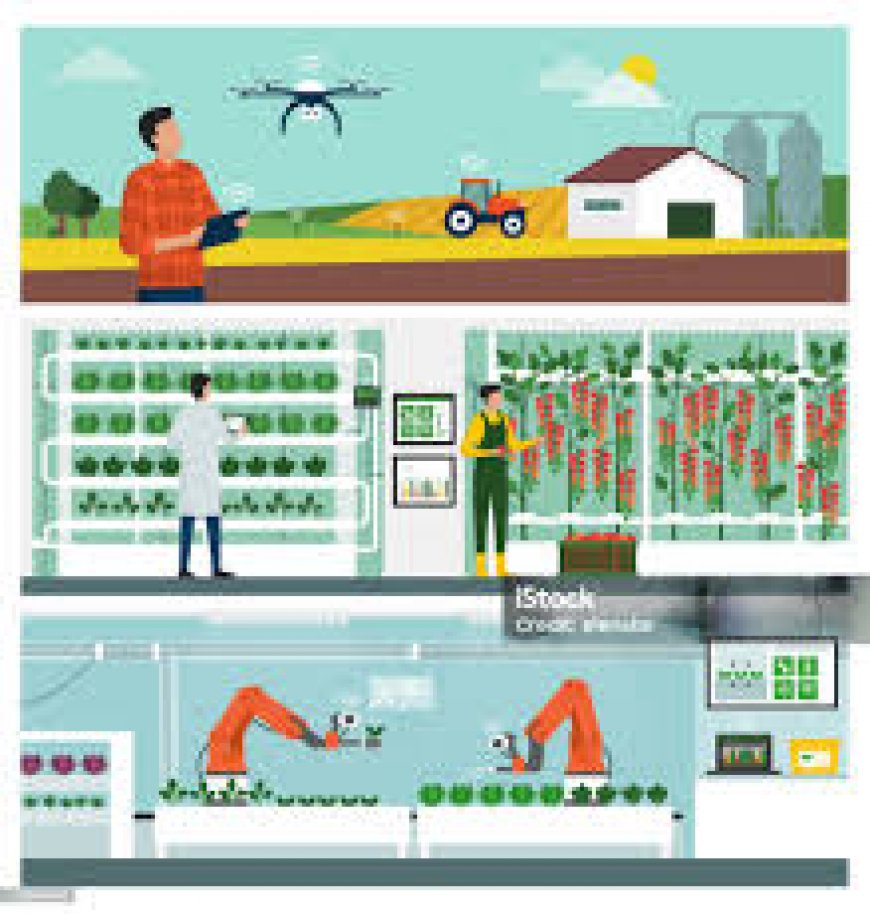 IoT in Agriculture Market Competitive Landscape and Future Outlook 2025