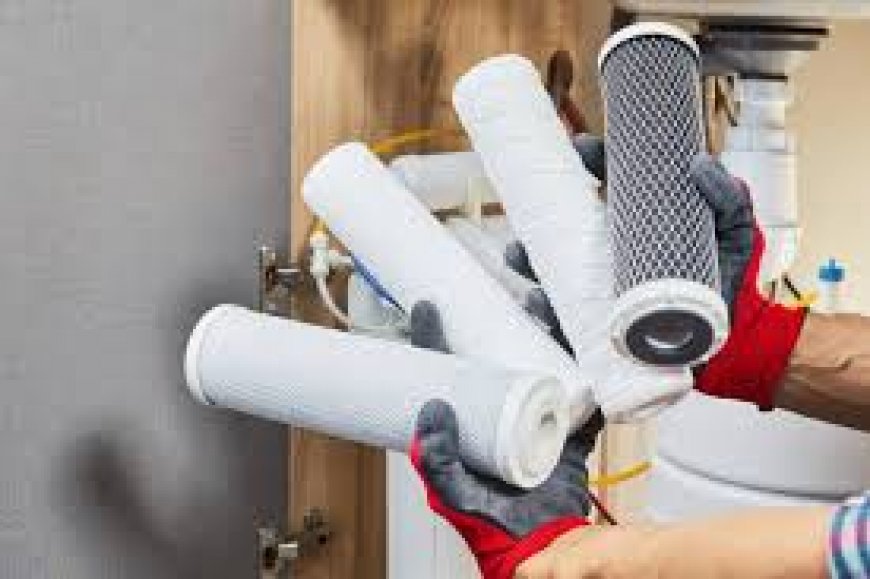 India Activated Carbon Filter Industry Growth Trends and Competitive Analysis 2025