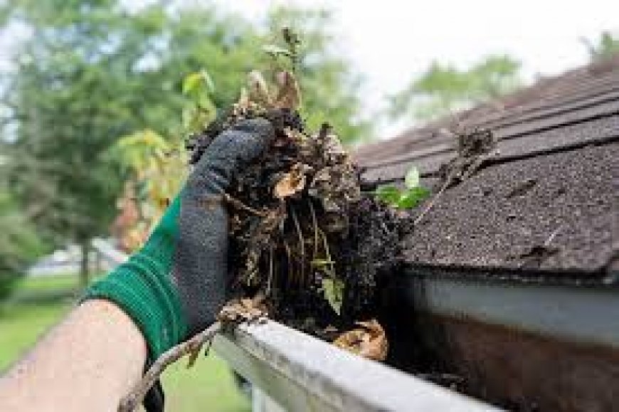 Why Choose the Best Gutter Cleaning Service in Sydney