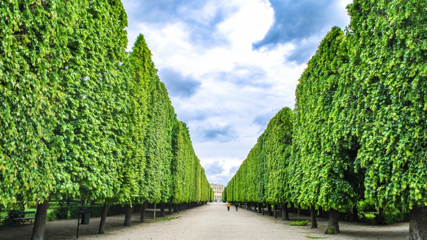 Professional Tree Trimming and Removal Services in Fishkill Plains, NY