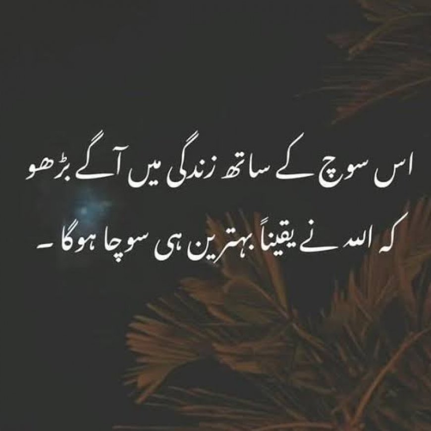 30+ Inspiring Urdu Quotes for Life and Wisdom