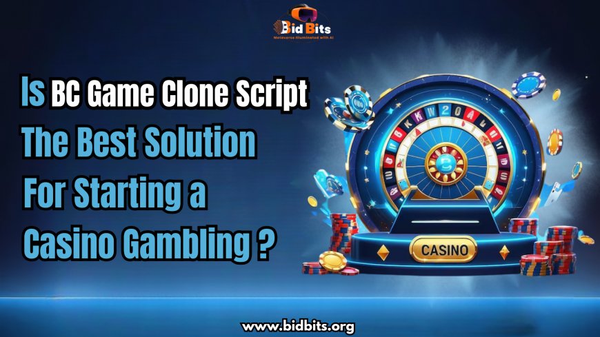 Is BC Game Clone Script the Best Solution for Starting a Casino Gambling ?
