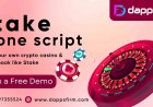 Stake Clone Script: The Key to Your Online Casino Success – Start Today!