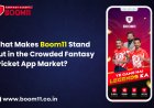 What Makes Boom11 Stand Out in the Crowded Fantasy Cricket App Market?