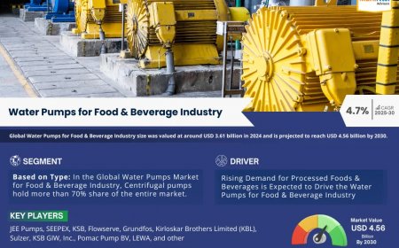 Water Pumps for Food & Beverage Market Outlook – Size, Share, Opportunities, Trends & Forecast Analysis