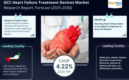 GCC Heart Failure Treatment Devices Market Insights: Demand, Share, and Key Players 2030