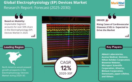 Electrophysiology (EP) Devices Market Outlook – Size, Share, Opportunities, Trends & Forecast Analysis