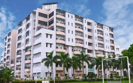 Access Everything You Need with the TMU Portal – Your Gateway to Student Success