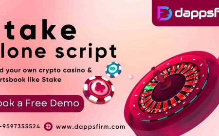 Stake Clone Script: The Key to Your Online Casino Success – Start Today!