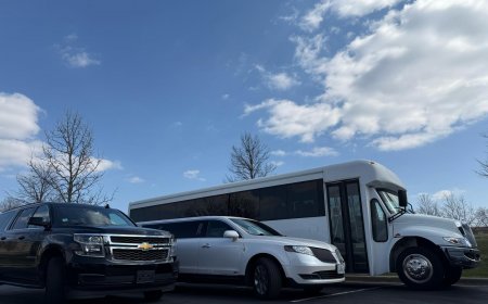 Wedding Transportation Service in Hoffman Estates