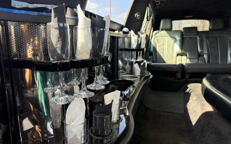 Party Bus Service in Chicago