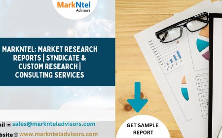 Drinks Market Insights – Industry Share, Demand, Trends, and Competitive Analysis
