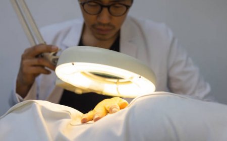 Get Expert Skincare with the Best Dermatologists in Riyadh