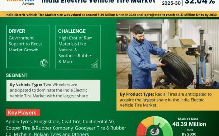 India Electric Vehicle Tire Industry Overview: Size, Value, and Forecast Outlook 2030