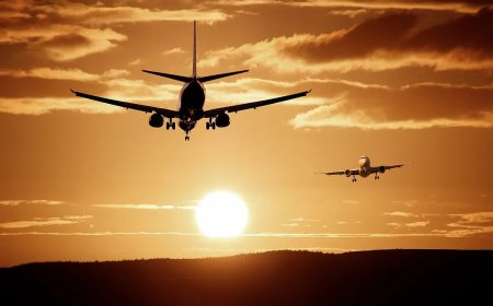 Everything You Need to Know About Airlines Airports Terminals
