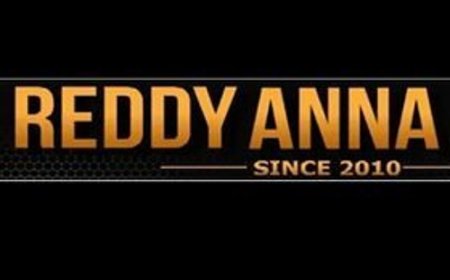 Reddy Anna Book: Setting the Standard for 24/7 Customer Support in Online Betting