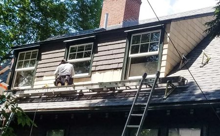 Top Signs You Need Roof Maintenance for Your Natick Home