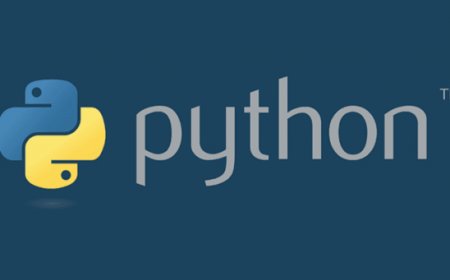 Why Python's the Best Choice for Beginners