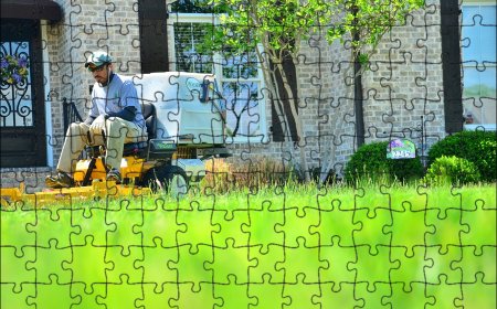 Transform Your Yard with Expert Lawn Care Services in Aldergrove