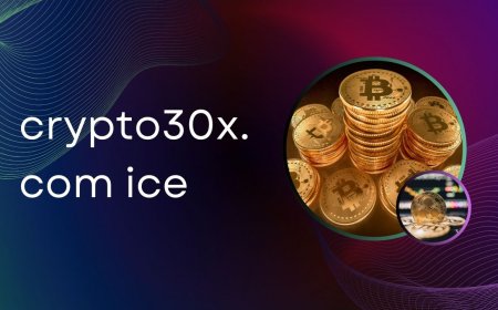 Unlock the Potential of Crypto30x.com ICE: The Next Big Trend in Digital Assets