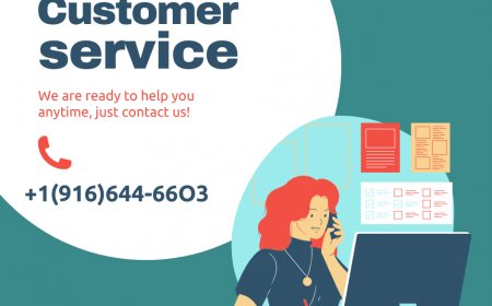 6 Official Ways to Contact Exodus Wallet Support By Phone 24/7 Expert~Guide