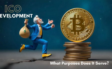What is ICO Software, and What Purposes Does It Serve?