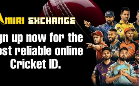 New to IPL? Start with an Online Cricket ID from Amiri Exchange