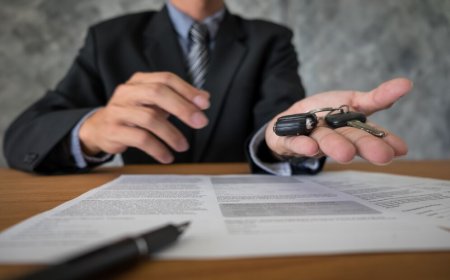 Alaska Domestic Violence Charges: Legal Procedure and Defence Mechanisms