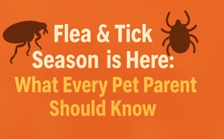 Flea & Tick Season is Here: What Every Pet Parent Should Know