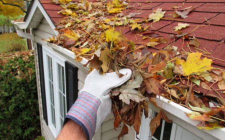 The Ultimate Guide to Gutter, Window, and Solar Panel Cleaning in Los Altos for a Sparkling Home