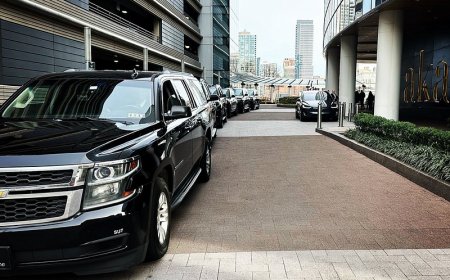 Corporate Transportation Service in Downtown Charleston