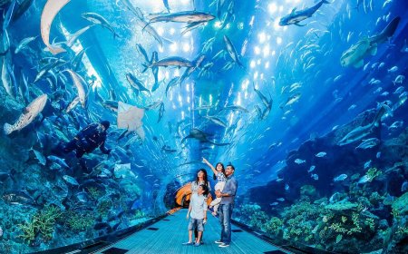 Why Dubai Should Be Your Next Vacation Destination