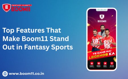 Top Features That Make Boom11 Stand Out in Fantasy Sports