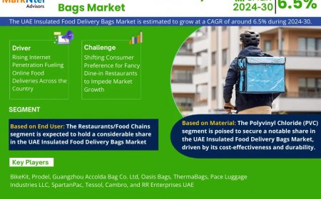 UAE Insulated Food Delivery Bags Market on Track for 6.5% CAGR Growth | Demand And Technological Trends