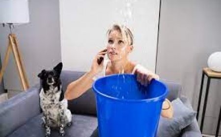 How Water Damage Cleanup Prevents Long-Term Mold