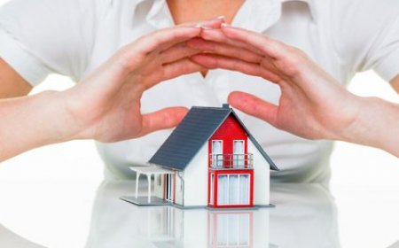 Objektbetreuung Berlin – Professionelle Betreuung für Immobilien