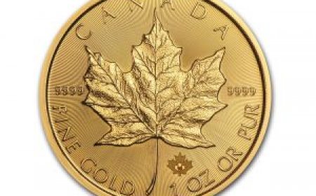 Gold Coins for Sale: A Timeless Investment with Lasting Value