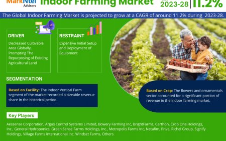 Indoor Farming Market to Register 11.2% CAGR Through 2028 | Key Drivers and Opportunities