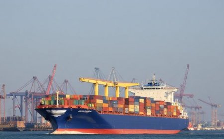 Affordable Sea Freight Services Offered in Dubai