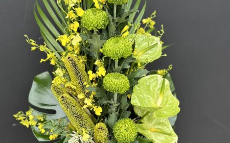 Brighten Every Moment with Living Flowers – Your Local Floral Experts