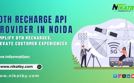 DTH Recharge API Provider in Noida