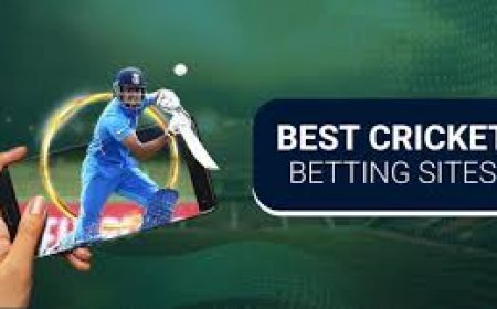 Betting Smarter: Best Sports Betting Exchange Sites in India You Should Know About