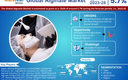 Global Alginate Market to Soar at 5.7% CAGR Through 2028 | Trends, Drivers, and Forecast Analysis
