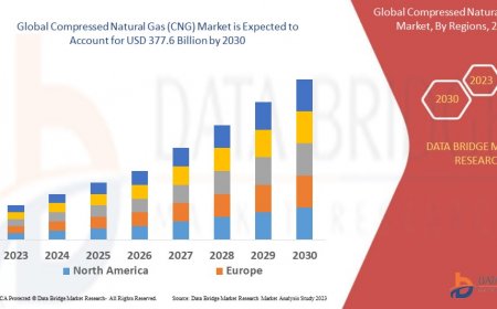Compressed Natural Gas (CNG) Market Insights: Growth, Share, Value, Size, and Analysis