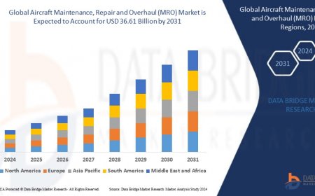 Aircraft Maintenance, Repair and Overhaul (MRO) Market Insights: Growth, Share, Value, Size, and Analysis
