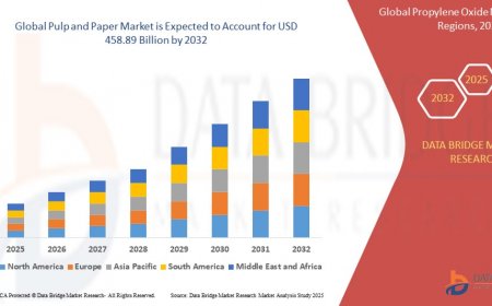 Pulp and Paper Market Research Report: Growth, Share, Value, Trends, and Insights