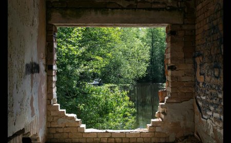 Navigating the Risks: What the 10-for-1 Deregulation Order Means for the Insurance Industry