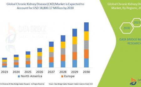 Exploring the Chronic Kidney Disease (CKD) Market: Trends, Challenges, and Opportunities in 2025 and Beyond