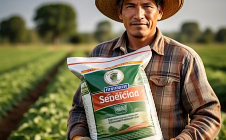 Specialty Fertilizer Market Analysis by Type, Material, End-User & Region 2025–2033